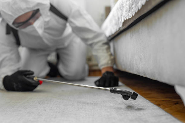 Professional Bed Bug Control technician working in Van Wert County County, OH